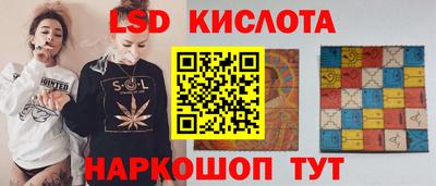 гидра Кудрово