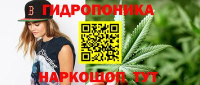 гидра Кудрово