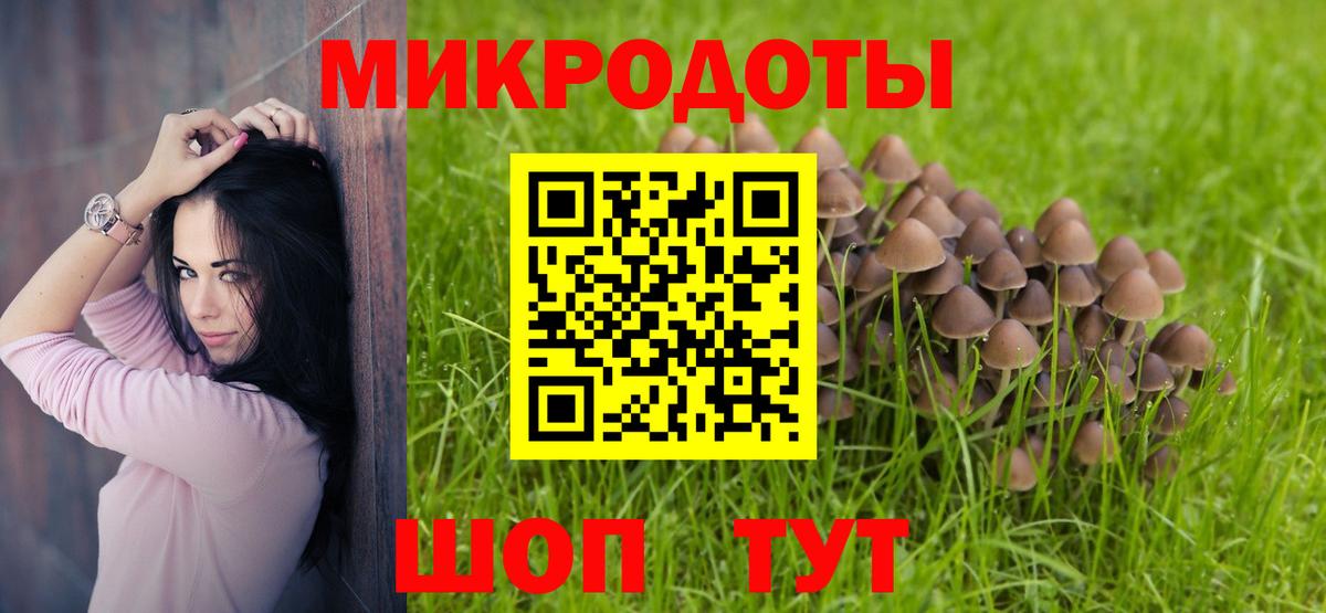 Псилоцибиновые грибы Psilocybine cubensis Луховицы