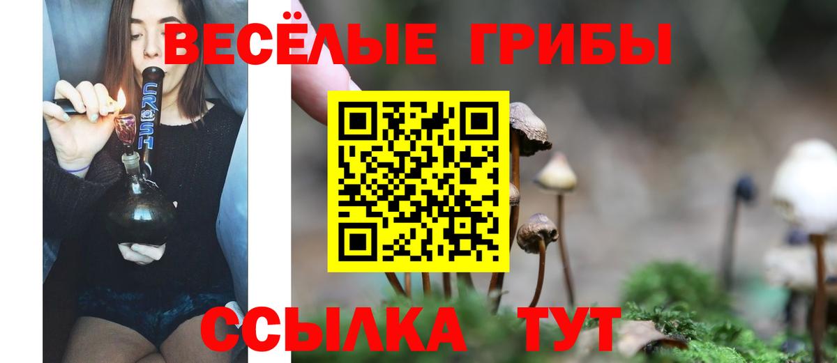 Псилоцибиновые грибы MAGIC MUSHROOMS  Галлюциногенные грибы Cubensis  Луховицы  Вход с VPN 